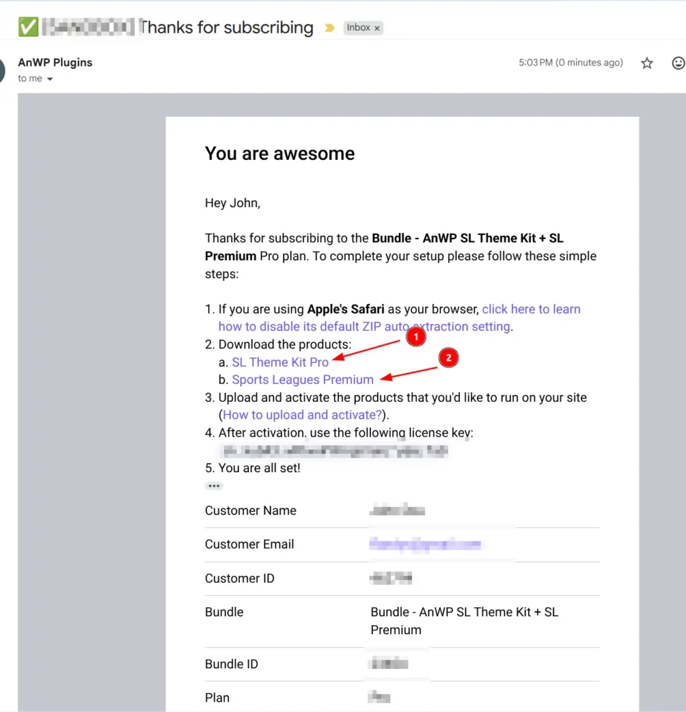 Download links email showing plugin ZIP files, license key, and expiration date