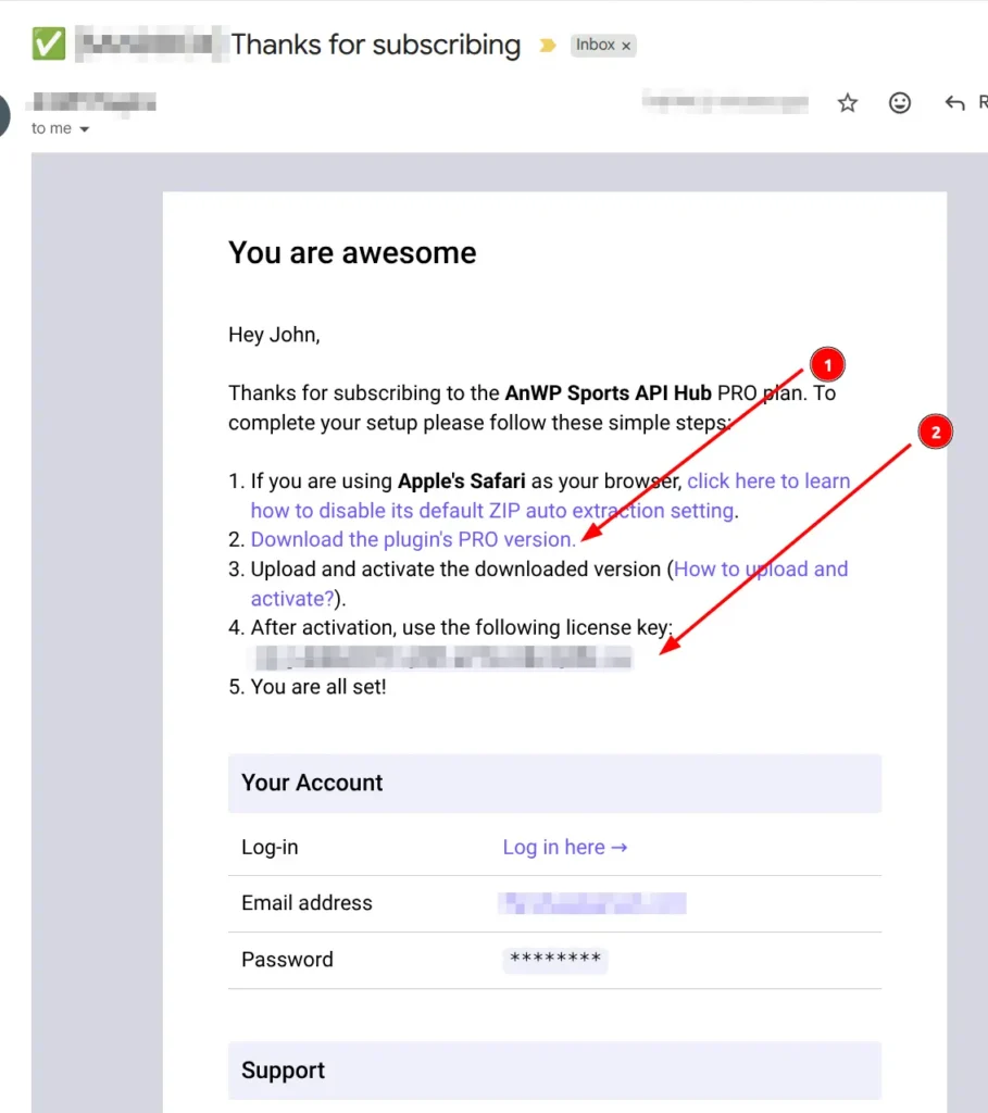 Welcome email with download link and license key highlighted