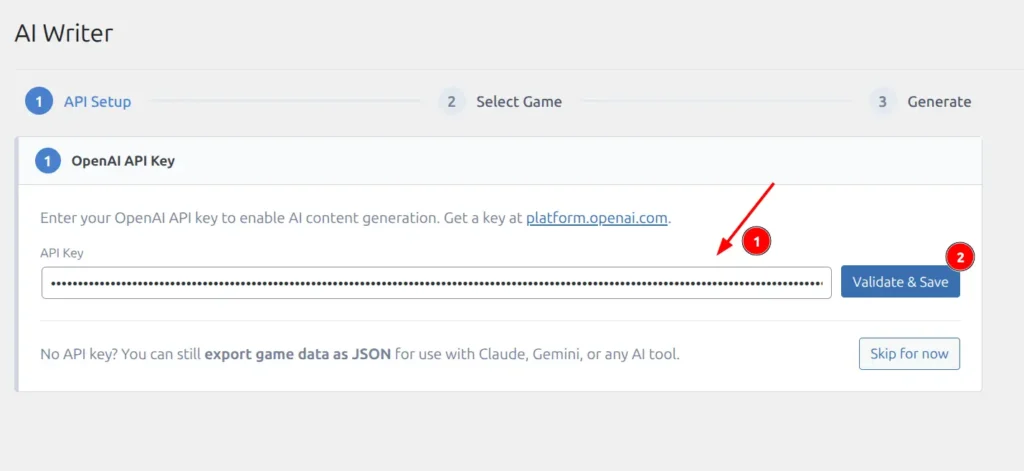 API Setup step with API key field and Validate and Save button