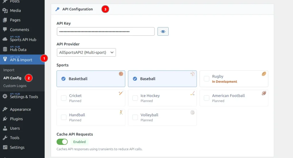 API Configuration section showing API Key field, Provider dropdown, Sports checkbox grid with status labels, and Cache toggle