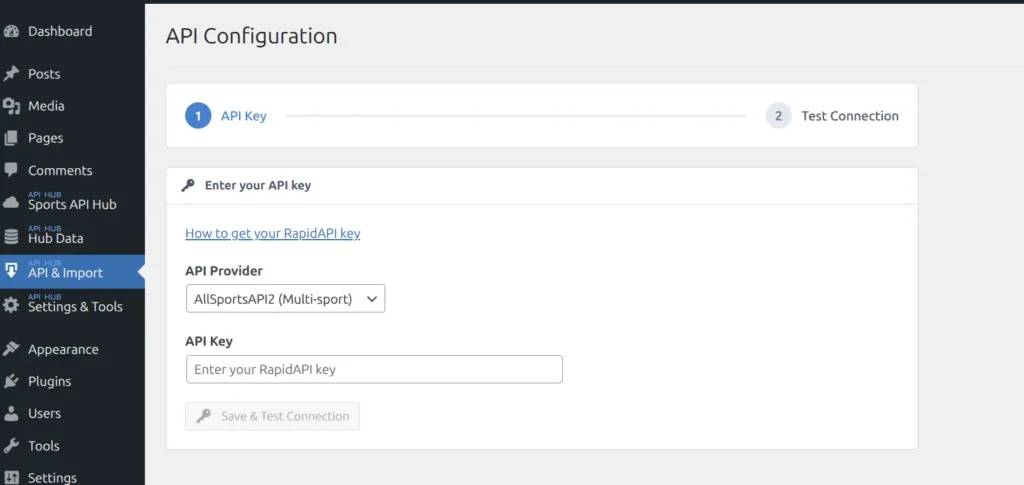 API Config page showing the API Key input field, Provider dropdown set to AllSportsAPI2, and Test Connection button