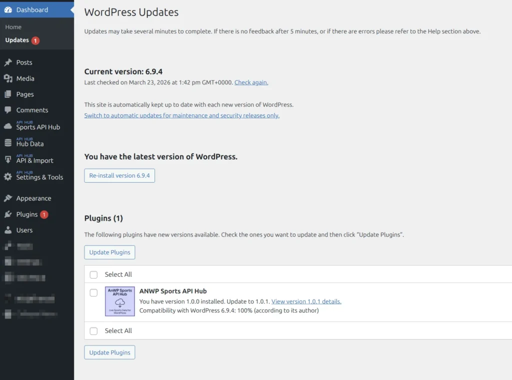 WordPress Updates page showing AnWP Sports API Hub plugin update available