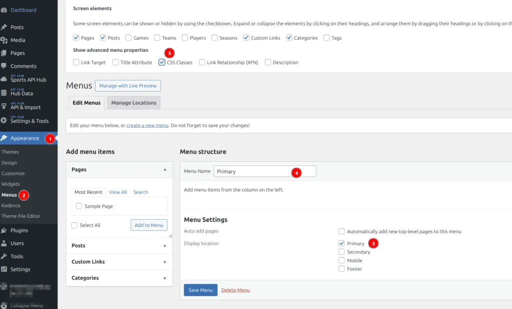 WordPress menu Screen Options panel with CSS Classes checkbox enabled