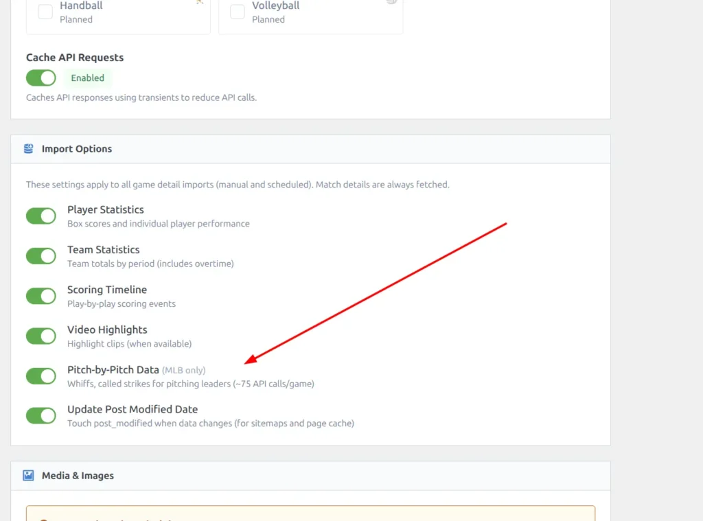 API Config page with Pitch-by-Pitch Data toggle in Import Options section