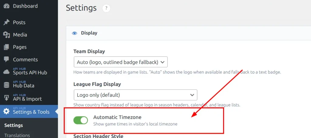 Automatic Timezone toggle in Plugin Settings Display section