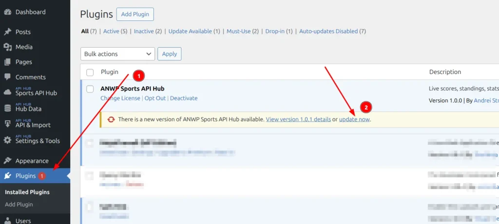 Plugins page showing update notice for AnWP Sports API Hub with update now link