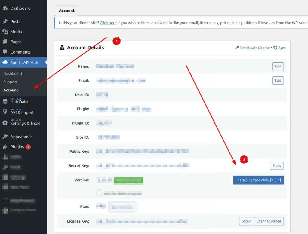 Sports API Hub Account page showing Install Update Now button next to version number