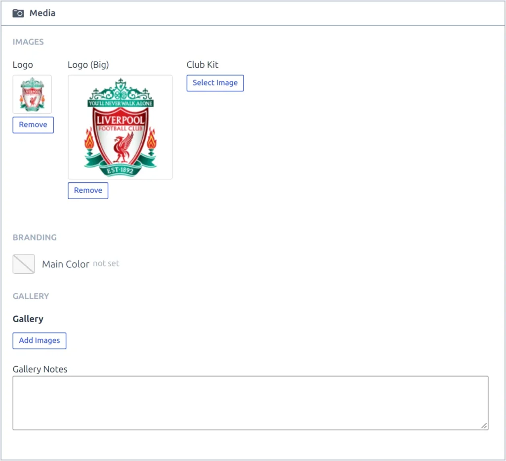 The Media tab of an imported club, with the same API badge in both the Logo and Logo (Big) fields