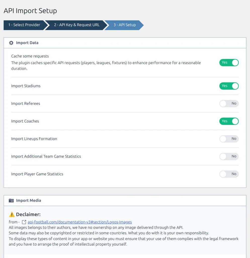 Setup wizard step 3 - the step bar with 3 - API Setup highlighted, the Import Data block with its Yes and No toggles, and the Import Media block starting below it
